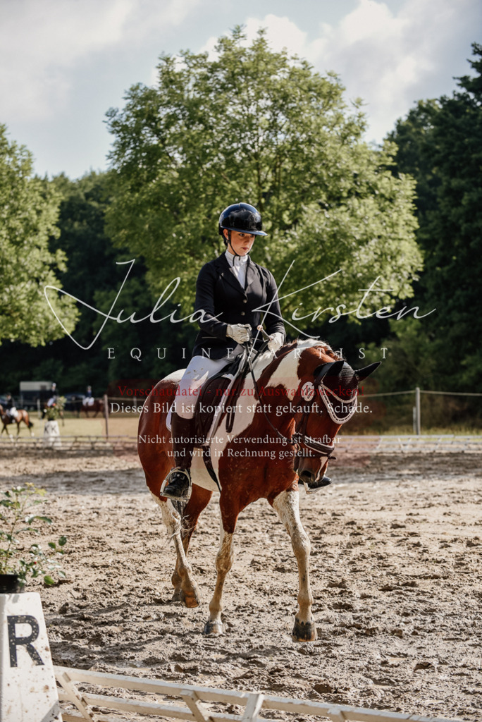 DSC_8747 | Pferde- und Turnierfotografie in Westsachsen. Pferdeportraits, Auftragszeichnungen und intuitive Kunst.