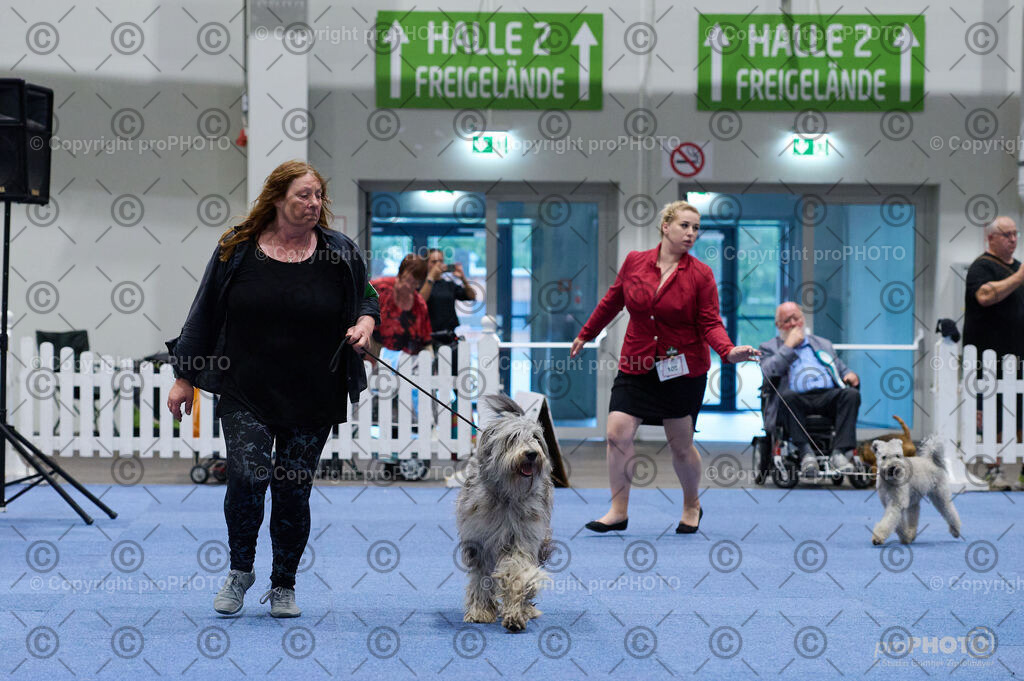 202406_ÖKV-IHA-Tulln24_DSC_3290 | proPHOTO - Realisiert mit Pictrs.com