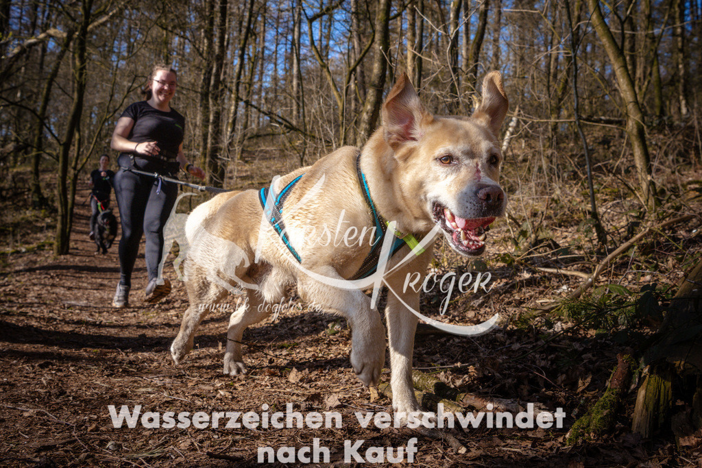 0935_ZZ99052 | kk-dogfotos
