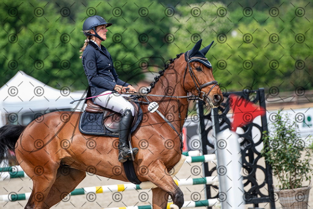 KPT_3341 | andre_photographic