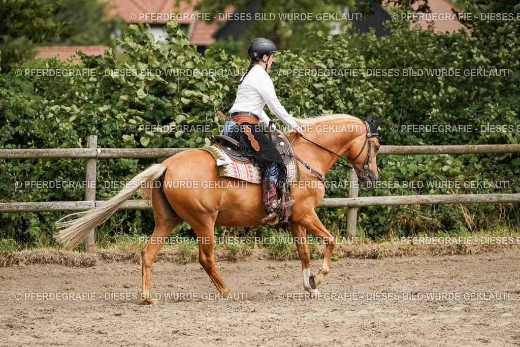 DSC00292 | Pferdegrafie