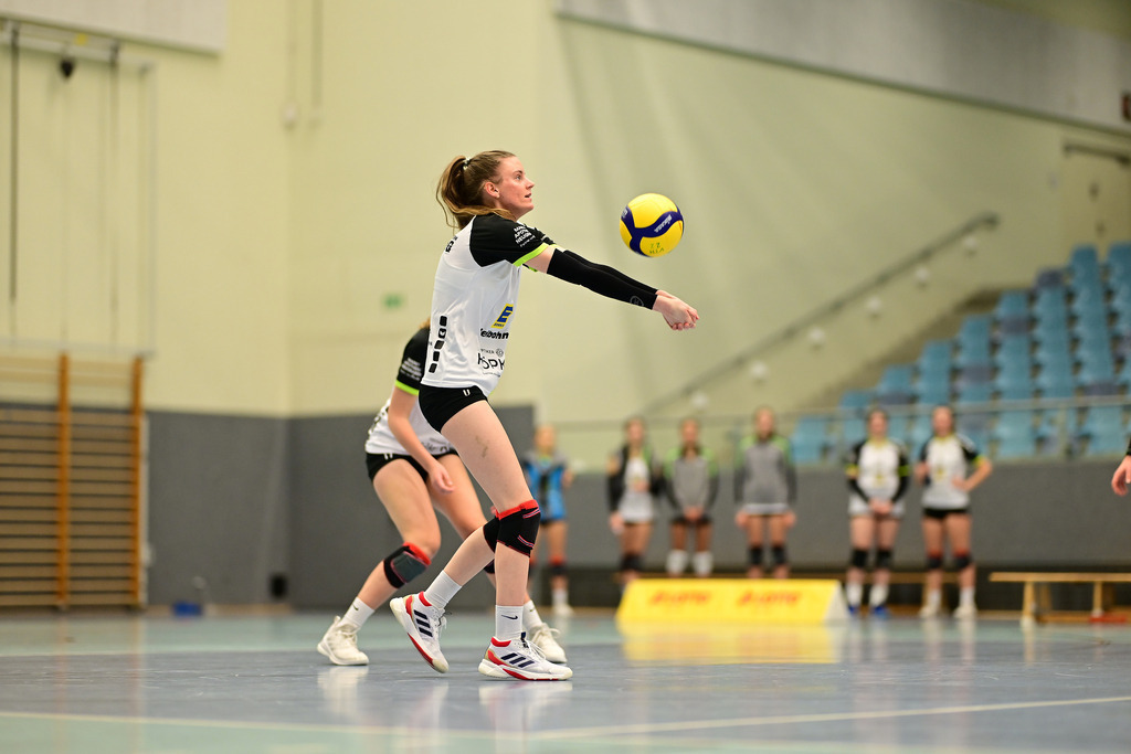 Volleyball I Frauen I Saison 2024-2025 I Regionalliga Nord I 10. Spieltag I VT Hamburg - SC Neubrandenburg | Der Sportfotograf. - Realisiert mit Pictrs.com