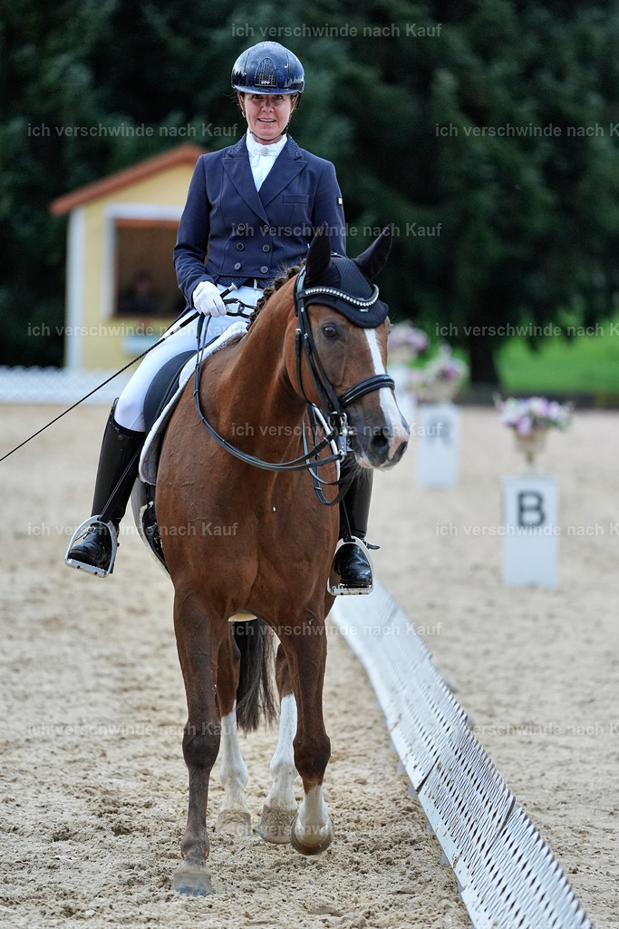 8_2-195-DRESSUR S_  -StoibPH-4529 | working equitationturnier fotograf videograf stoibphotography marixx film working equitation deutschland reitsport turnierfotografie eventfotografie equestrian events