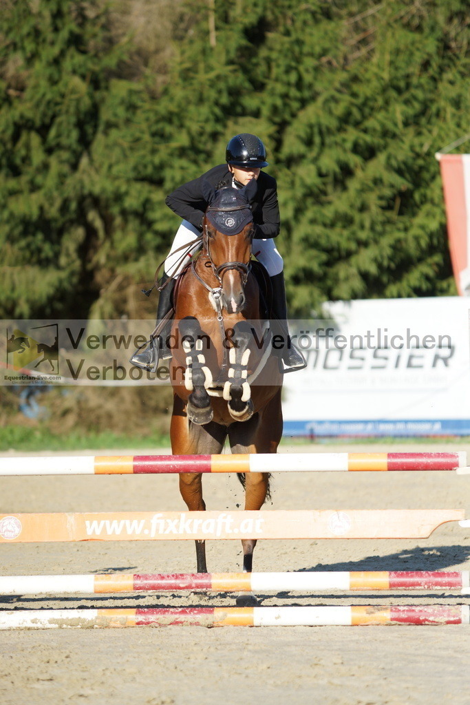 DSC09424 | equestrian-live-com