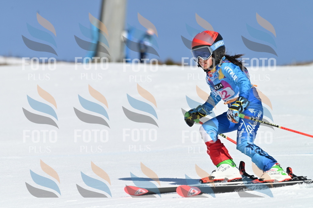 BGV_7988 | holidayphoto