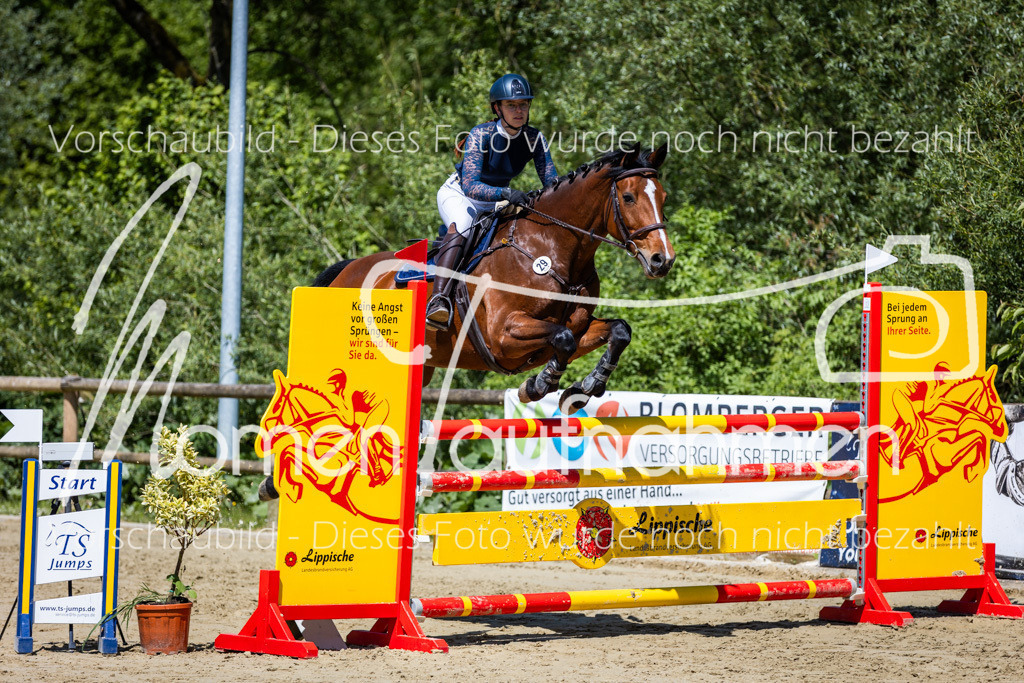 Donop24-Stil-L-035 | MomenTaufnahmen Pferdesportfotos