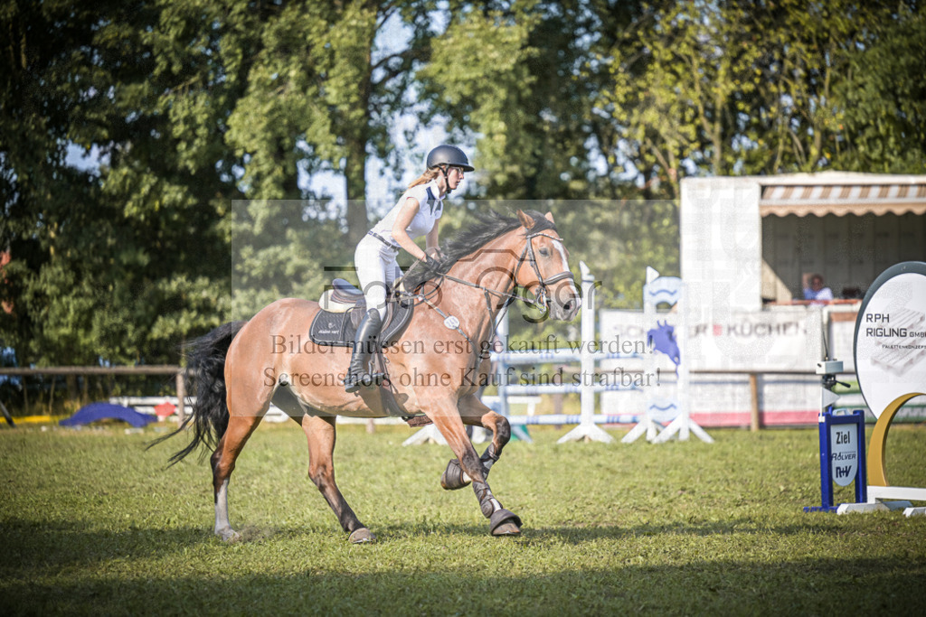 DOS_1327 | Entdecke hochwertige Reitturnierfotos von Foto Oger. Professionell, emotional und authentisch – jetzt Lieblingsmomente im Shop bestellen.Deutschlandweite Turnierfotografie. - Realisiert mit Pictrs.com