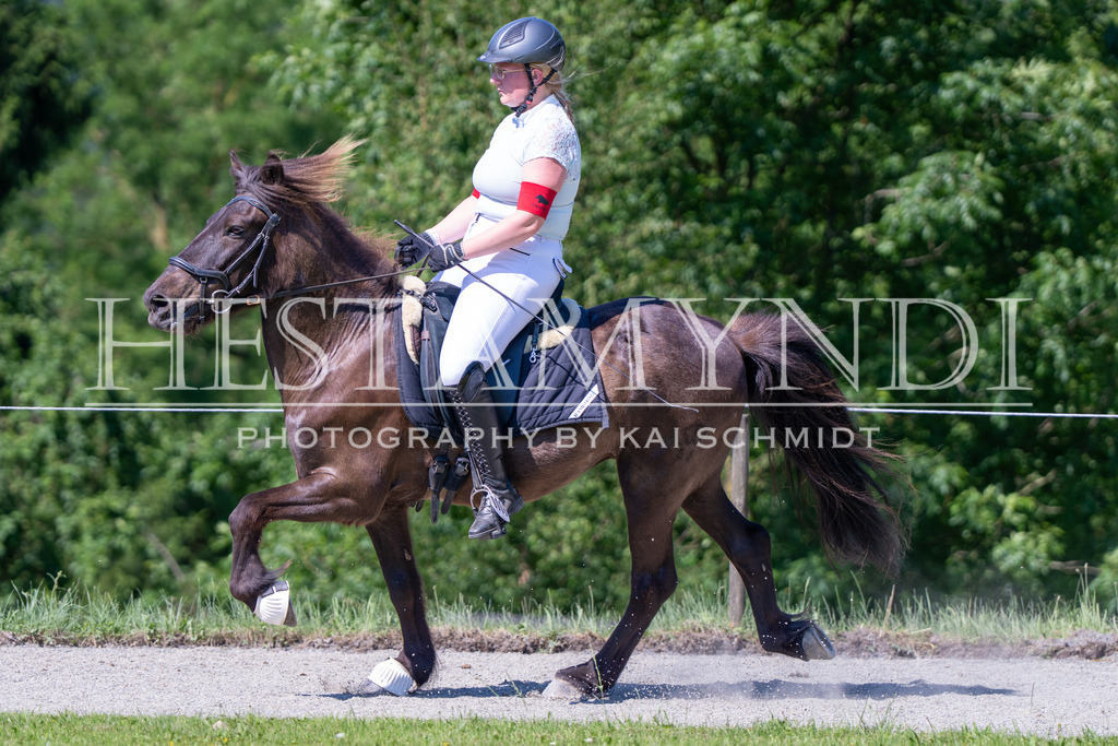 KAI05849 | Ihr sucht einen Fotografen für eure nächste OSI? Ich begleite auch euer Turnier für Islandpferde fotografisch.  - Realisiert mit Pictrs.com