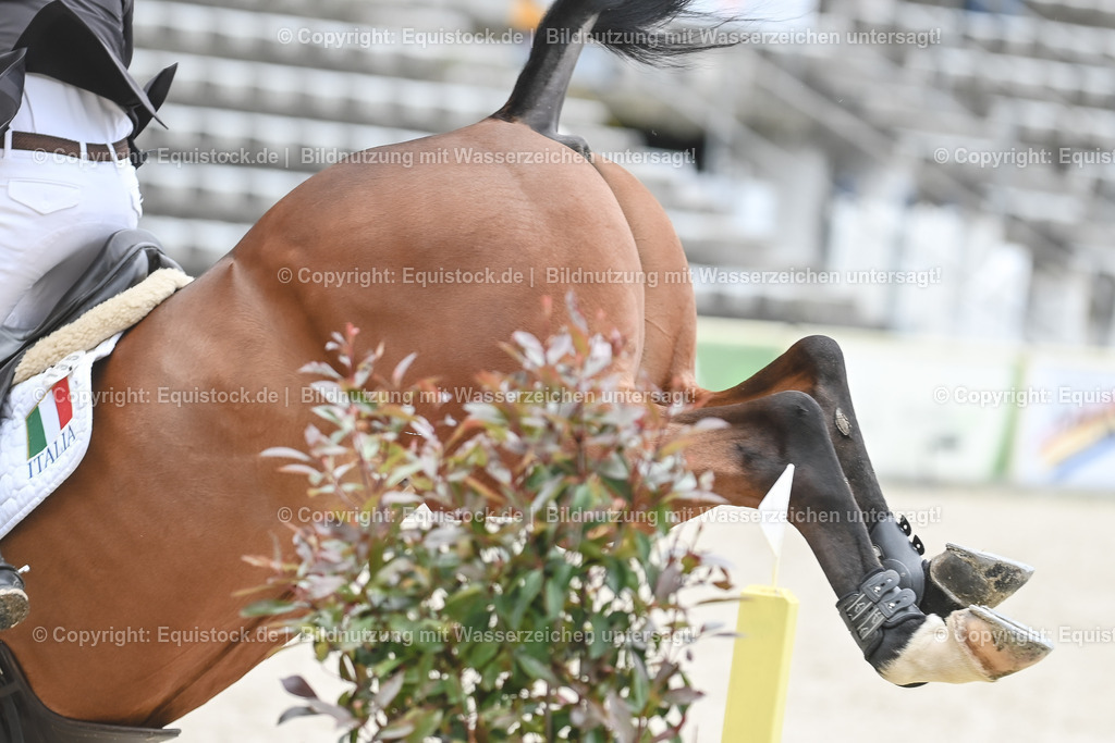 20230514_CCI4_Springen_0088 | equistock