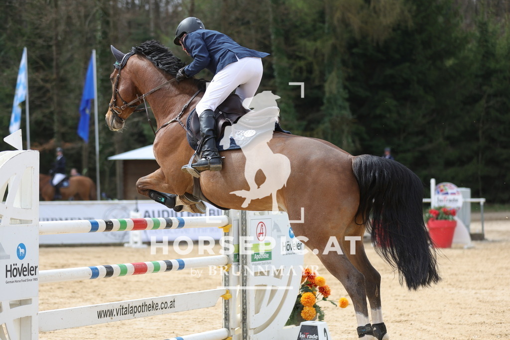 0P6A5626 | Willkommen bei Brunnmayr - Design & Fotografie – Ihrem Spezialisten für Reitturniere und Pferdeveranstaltungen in Oberösterreich, Salzburg und Bayern! Seit über 17 Jahren sind wir leidenschaftlich dabei.