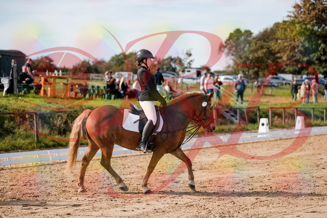 2026_10_03_Siefer-Hof_122017_Z63_42686524 | Professionelle Reitsport-, Turnier- und Eventfotografie von Robert Broda. Galerien mit ausgewählten und bearbeiteten Bildern direkt online ansehen und bestellen.