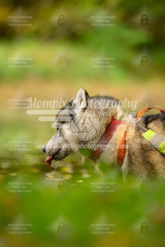 MompixPhotography_20TSB_E1_Bike-4 | PayLife