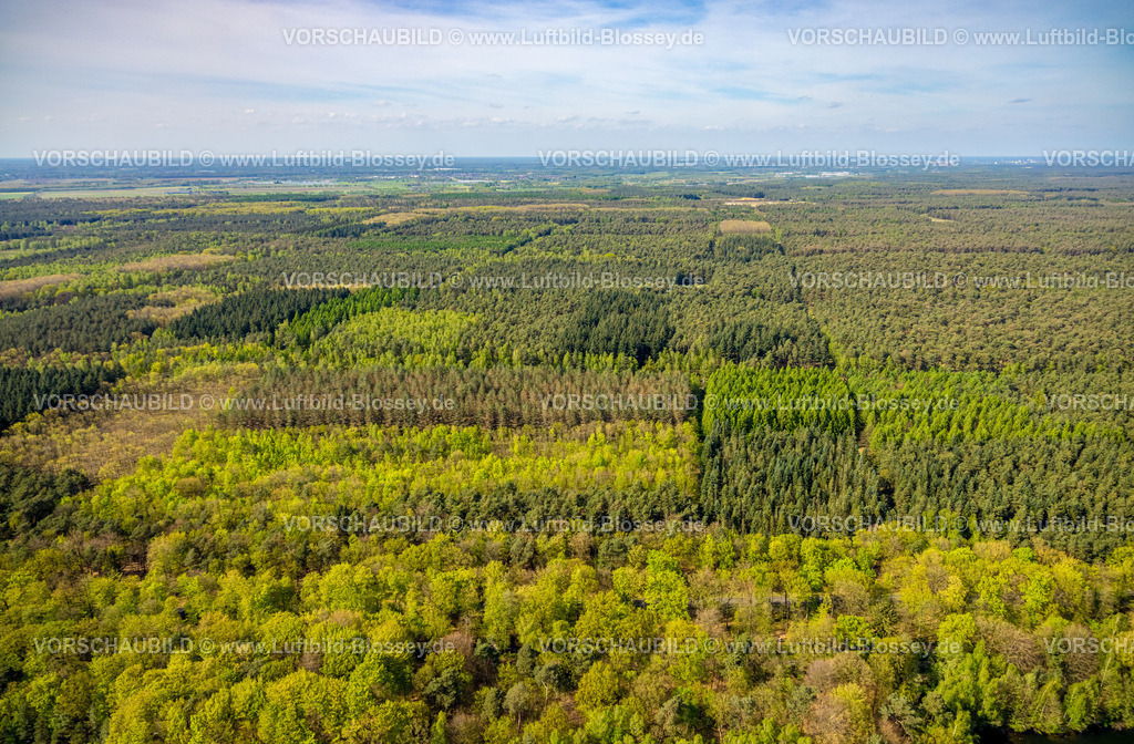 Brueggen240403236DiergartscherSeeSchwalm | Luftbild, Diergartscher See Naturschutzgebiet NSG Elmpter Schwalmbruch, Mischwald, Fernsicht und Auenlandschaft an der deutsch-niederländischen Grenze, Oebel, Brüggen, Niederrhein, Nordrhein-Westfalen, Deutschland