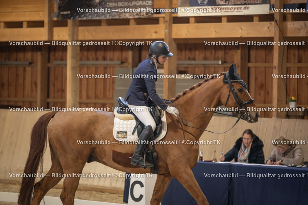 _D5A3291 | Emotionale Pferde- & People-Fotografie rund um Heidelberg, Leimen & Umgebung. Natürliche Fotos von Pferd, Mensch & Familie. Jetzt Termin sichern!