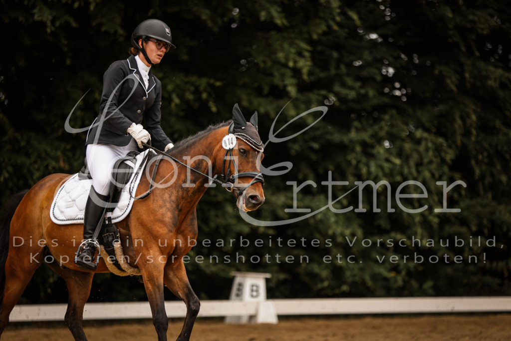 DoDrE00502 | Leoni Ertmer Photography - Realisiert mit Pictrs.com