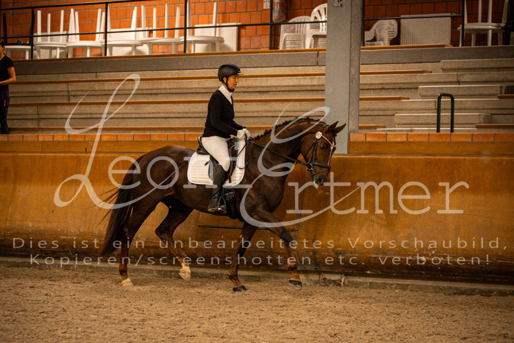 2Reiten00130 | Leoni Ertmer Photography - Realisiert mit Pictrs.com