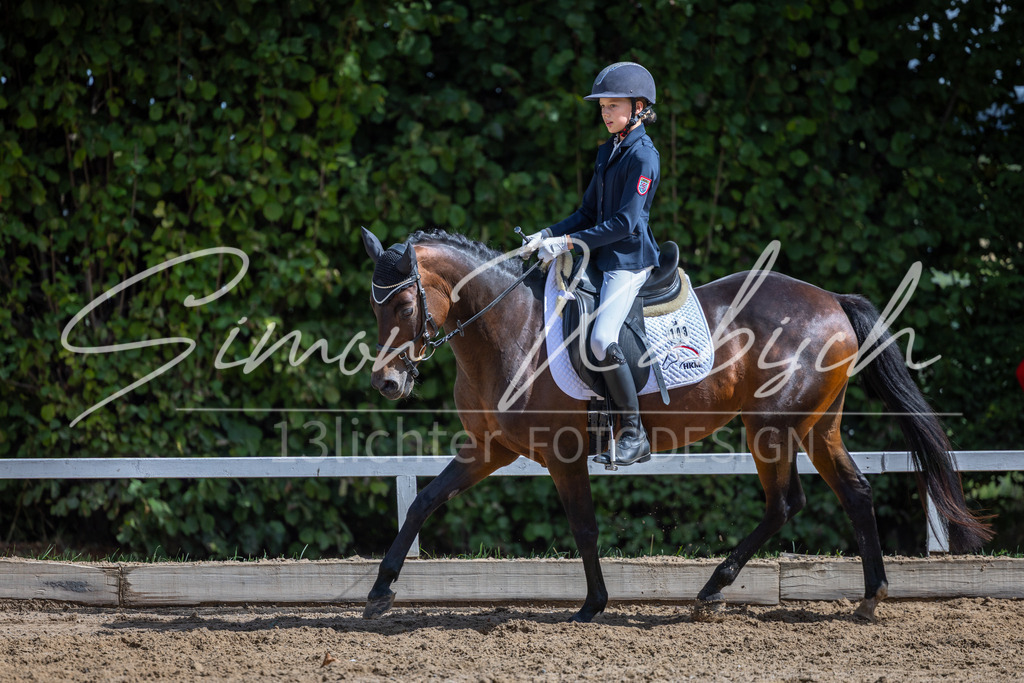 20260905-_3LI8331 | Tierfotografie Pferde, Hunde, Katzen, Haustiere.
Turnierfotografie Reitturniere, Reiten, Springreiten, Dressur in Hanau, dem Main-Kinzig-Kreis und dem Rhein-Main- Gebiet um Frankfurt