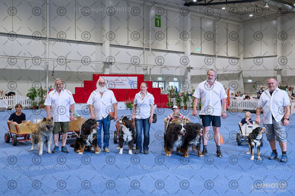 202406_ÖKV-IHA-Tulln24_NZ9_9410 | proPHOTO - Realisiert mit Pictrs.com