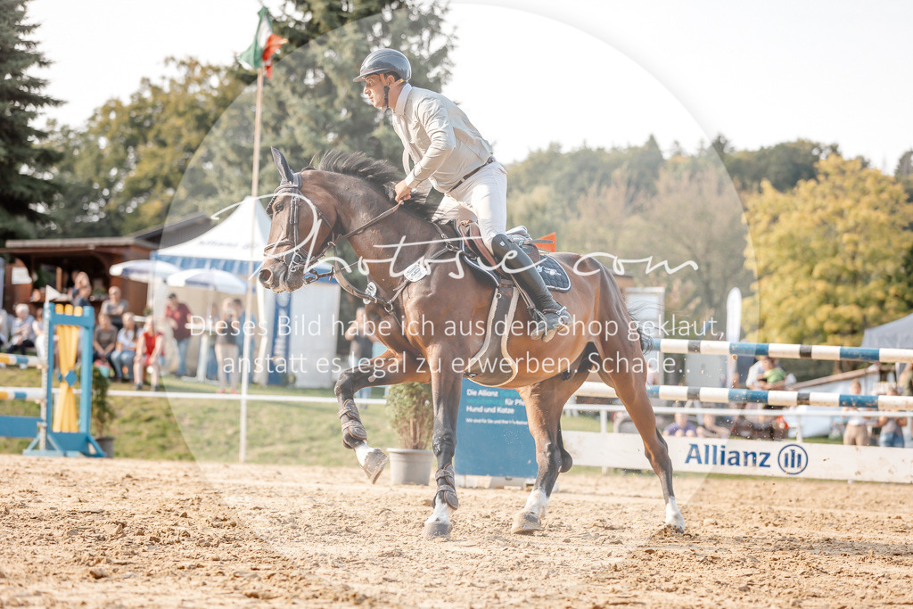 3I6A5283 | Stimmungsvolle Portraits und Reitsportfotografie im Ruhrgebiet und im Münsterland.

Pferdefotografie, Hundefotografie, Tierfotografie, Reportagen, Portraits von Tier und Mensch, Turnierfotografie in Bochum, Recklinghausen, Marl, Haltern am See, Dülmen.. - Realisiert mit Pictrs.com