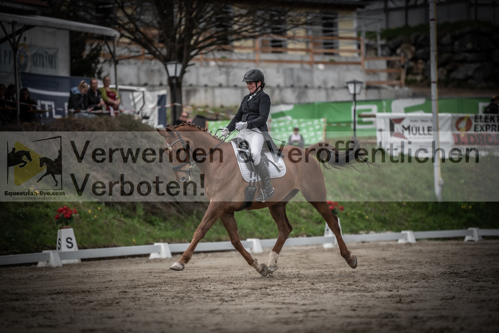 DSC_2504 | equestrian-live-com