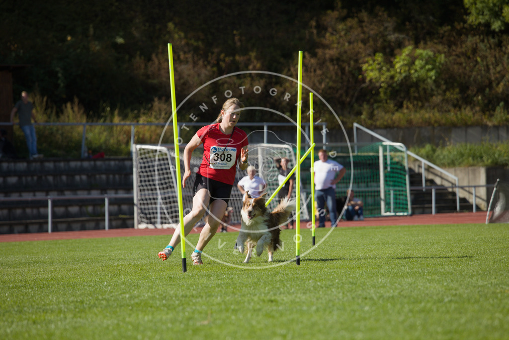 0L8A8731 | Hundefotografie, Tierfotograf, Pfotenfotografie, Fotoshooting Hund, Hunde Portrait, Hundesport, Hundeportraits, Heideshooting, Hunde, Sportfotograf, Hundefotograf, Turnierhundsport, THS,  - Realisiert mit Pictrs.com