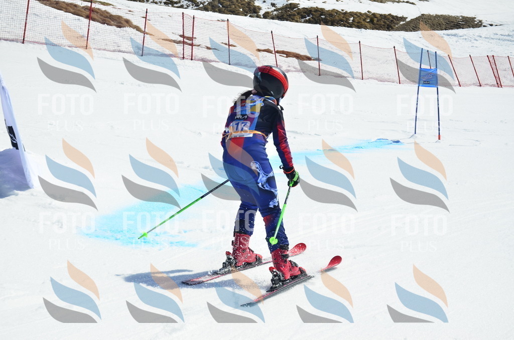 _ELE0706 | holidayphoto