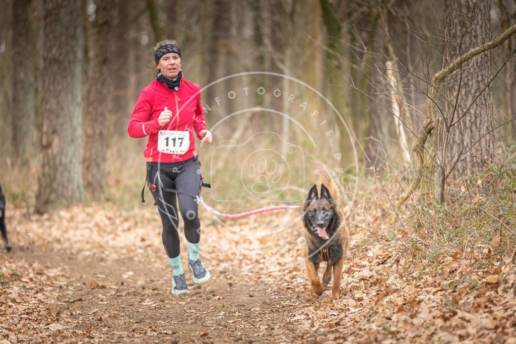 Pfotenfotografie_DV3A7737 | Hundefotografie, Tierfotograf, Pfotenfotografie, Fotoshooting Hund, Hunde Portrait, Hundesport, Hundeportraits, Heideshooting, Hunde, Sportfotograf, Hundefotograf, Turnierhundsport, THS,  - Realisiert mit Pictrs.com