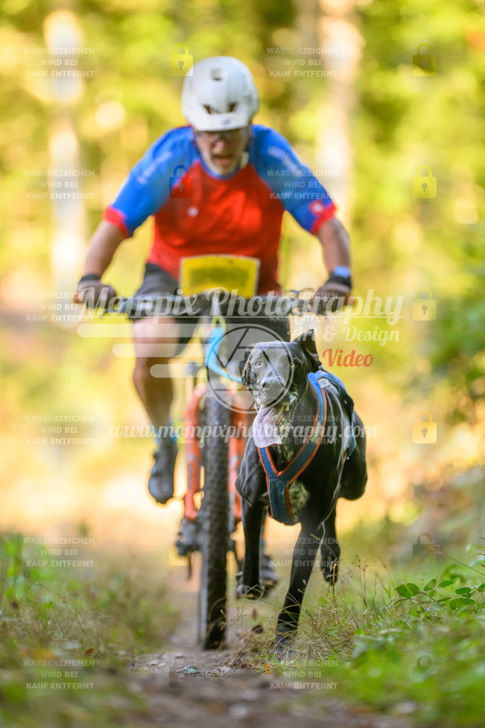 MompixPhotography_Yens2025_B3-175 | PayLife