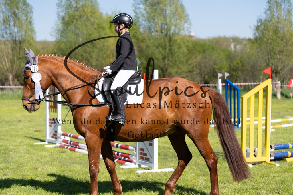 A7V01505 | Pferdefotograf