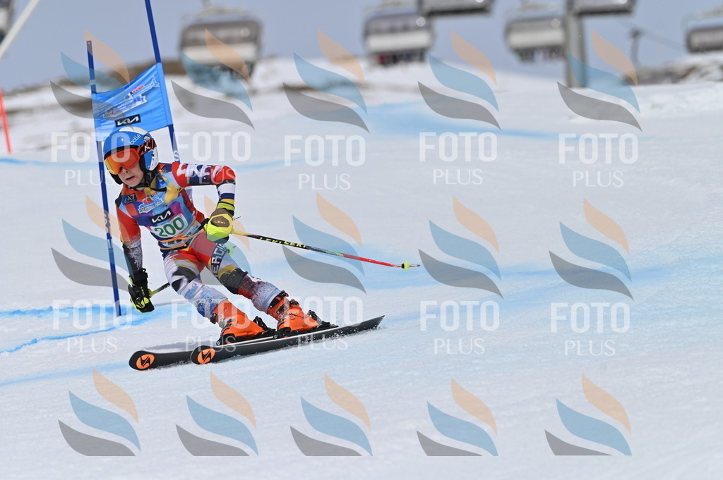 BGV_3857 | holidayphoto