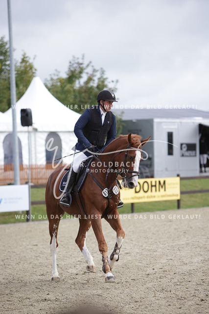 1J2A1094Niclas Aromaa_ Ocala 6_ Kn812_ Havekost | Foto- und Videografie für alles rund ums Pferd. Hochwertige Bilder und Videos vom Spring- und Dressurreiten, Voltigieren & mehr. Jetzt aktuelle Veranstaltungen und Preise im Shop ansehen. - Realisiert mit Pictrs.com