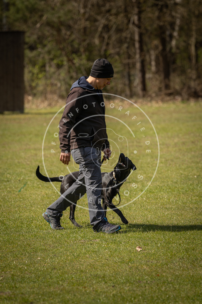Pfotenfotografie_DV3A1211 | Hundefotografie, Tierfotograf, Pfotenfotografie, Fotoshooting Hund, Hunde Portrait, Hundesport, Hundeportraits, Heideshooting, Hunde, Sportfotograf, Hundefotograf, Turnierhundsport, THS,  - Realisiert mit Pictrs.com