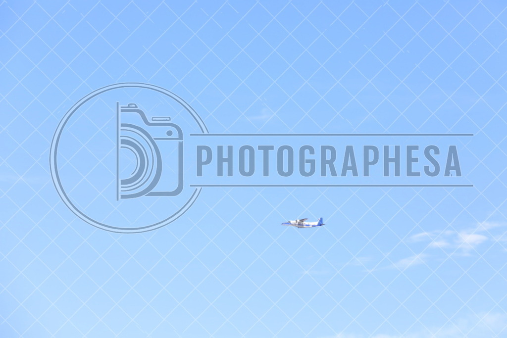 IMG_8845 | photographesa-joergens - Realisiert mit Pictrs.com