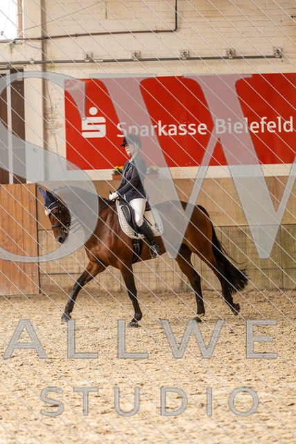 2L2A2493 | stallwerkstudio - Realisiert mit Pictrs.com