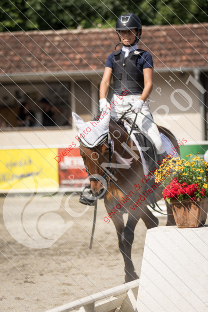 IMG_5221 | Sport-, Event- und Tierfotos in Profiqualität. Einfach auswählen, bestellen und herunterladen. Dein Moment – perfekt festgehalten.