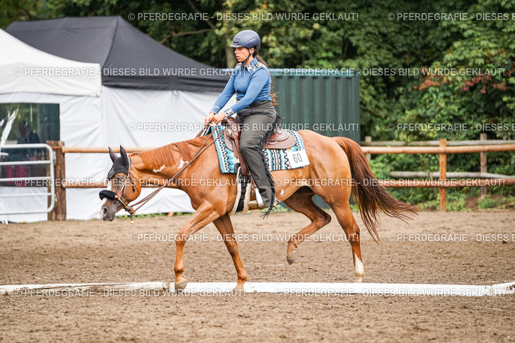 DSC04407 | Pferdegrafie