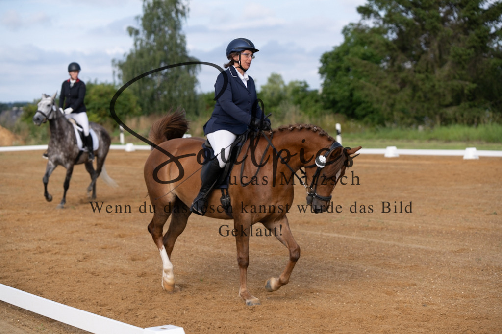 A7V03742 | Pferdefotograf