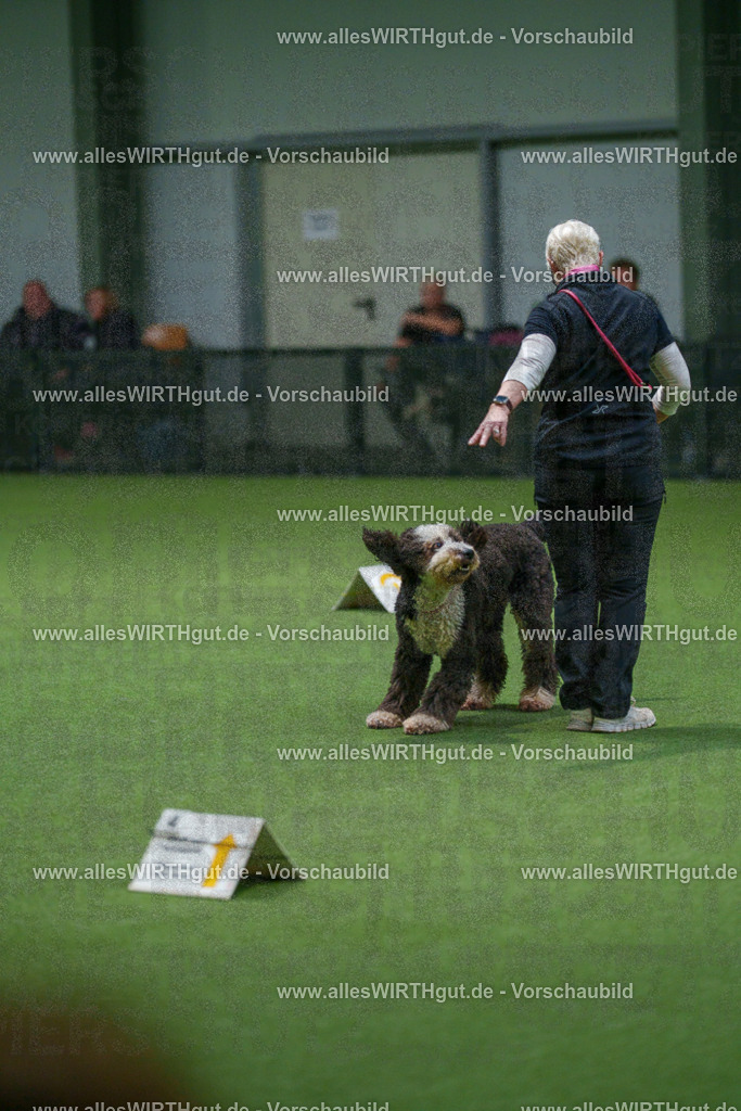7R508053 | Professionelle Tierfotografie in Mönchengladbach von Daniel Wirth (allesWIRTHgut). Liebevolle & natürliche Bilder von Hunden & Katzen für unvergessliche Erinnerungen.