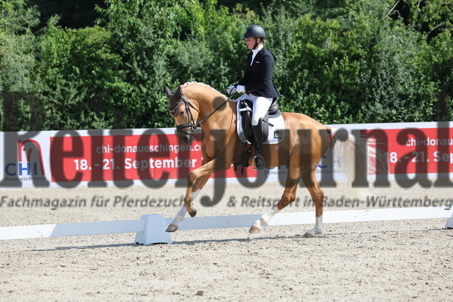 Weilheim_2025_Prfg.Nr.26_Pony-Reitpferdeprüfung_Miriam Hollenbach_Genau du SH (7) | Alle Fotos der Reiterjournal Fotografin Doris Matthaes im Reiterjournal Online-Fotoshop. - Realisiert mit Pictrs.com