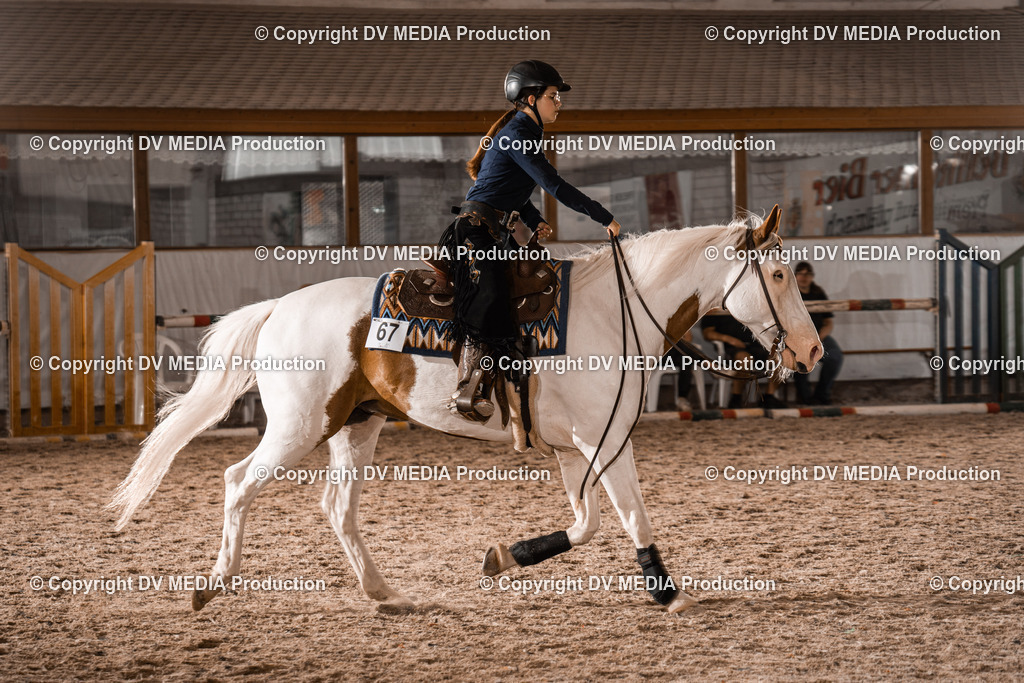 ZH300596 | dv-media-shop - Realisiert mit Pictrs.com