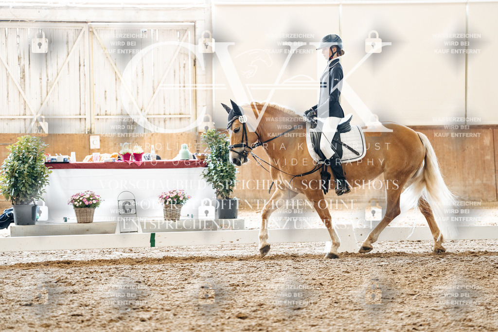 CK900142 | Turnierfotografie Pferdefotografie Trier Rheinland-Pfalz Pferdesport Reitsport Tierfotografie Sportfotografie Pferdevideo Pferdevideografie Equestrianvideography equestrianphotography  - Realized with Pictrs.com