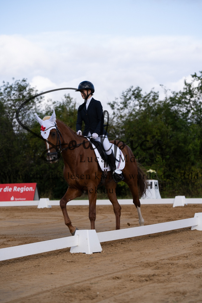 A7V05127 | Pferdefotograf