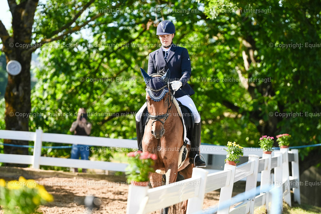 20230715_06_Dressurpferdeprfg. Kl.A_0209 | equistock