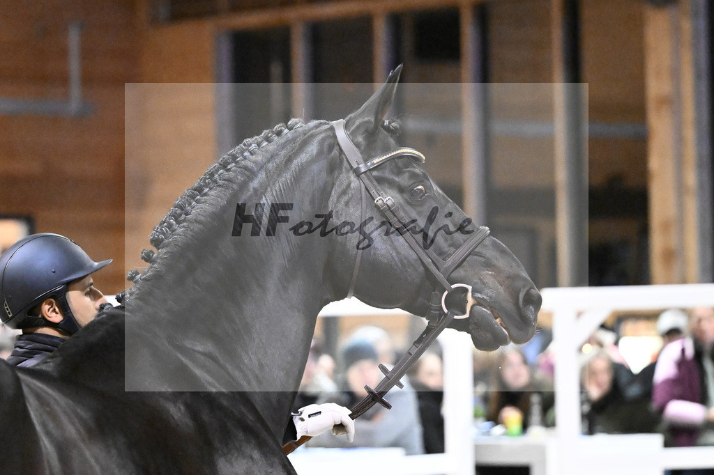 Adzaro de L Abbaye B_5251030 | hf-fotografie - Realisiert mit Pictrs.com