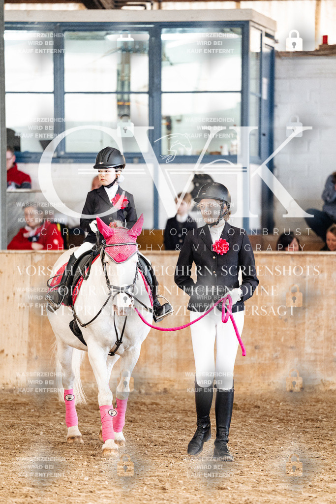 CK905773 | Turnierfotografie Pferdefotografie Trier Rheinland-Pfalz Pferdesport Reitsport Tierfotografie Sportfotografie Pferdevideo Pferdevideografie Equestrianvideography equestrianphotography  - Realized with Pictrs.com