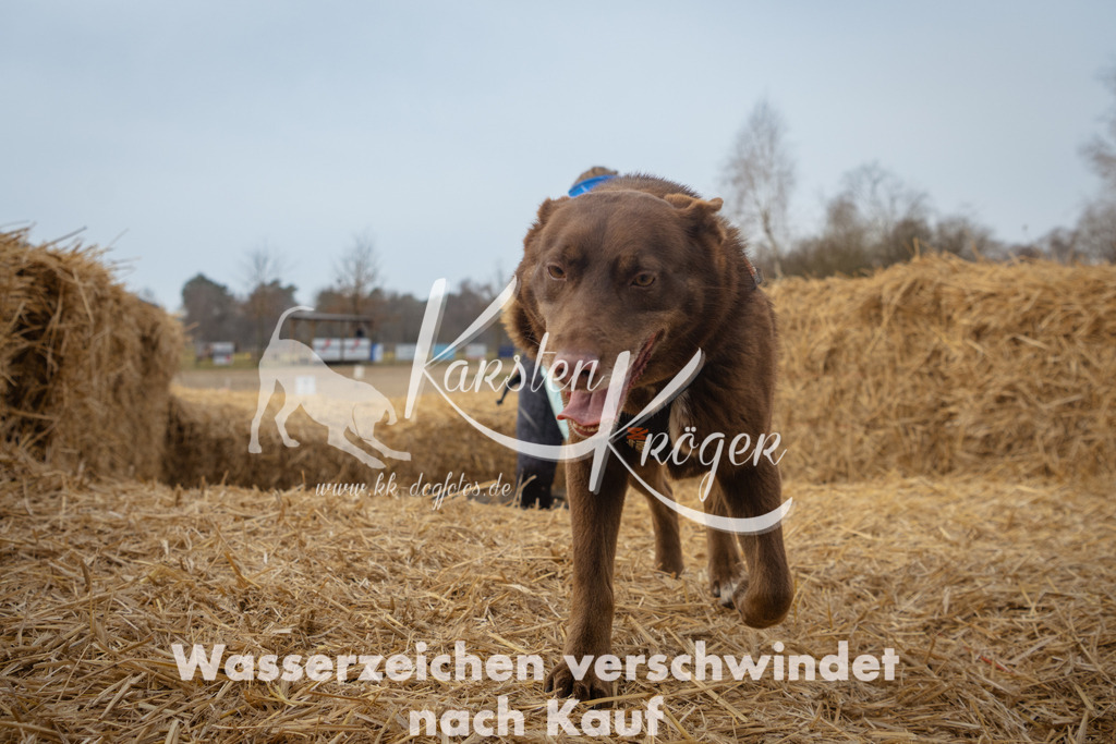 1004_ZZ92207 | kk-dogfotos