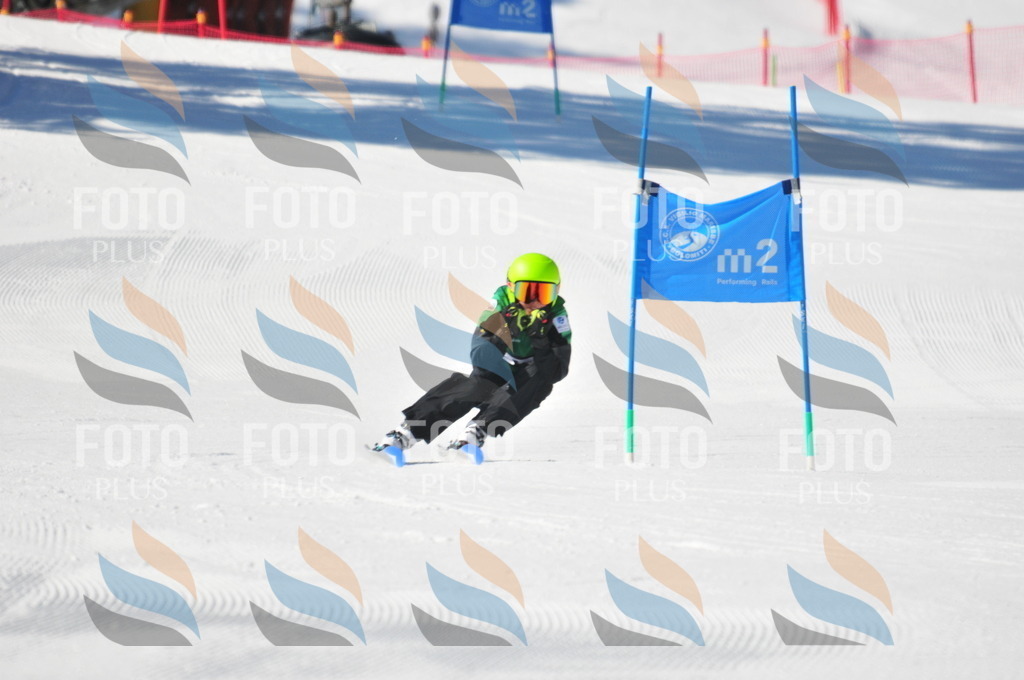 C2810 | holidayphoto