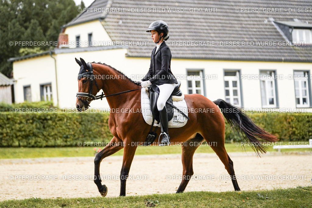 DSC07902 | Pferdegrafie