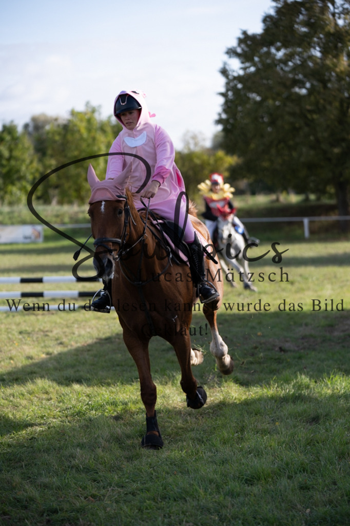 A7V06611 | Pferdefotograf