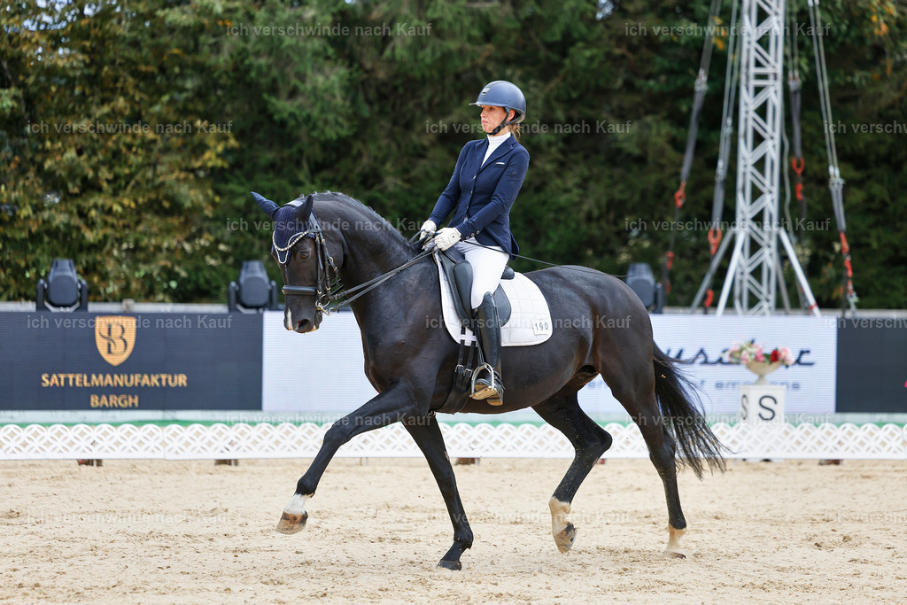 04_1-190-Dressur M__ -StoibPH-StoibPH-2641 | working equitationturnier fotograf videograf stoibphotography marixx film working equitation deutschland reitsport turnierfotografie eventfotografie equestrian events